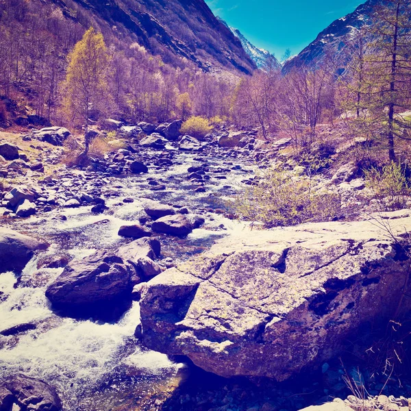 Fiume in Piemonte — Foto Stock