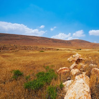 Kum tepelerinde Samiriye