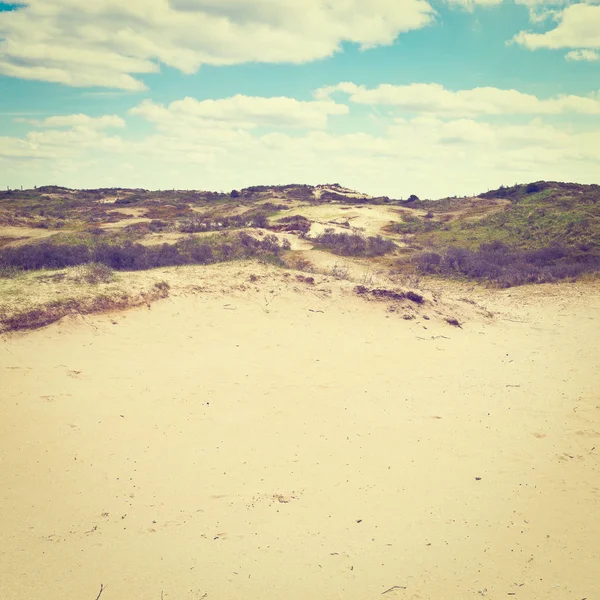 Duny na pobřeží Severního moře — Stock fotografie