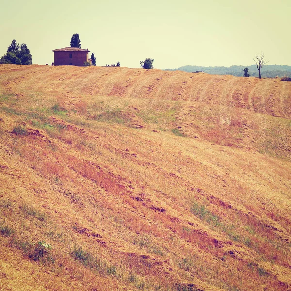 Les prairies de Toscane — Photo