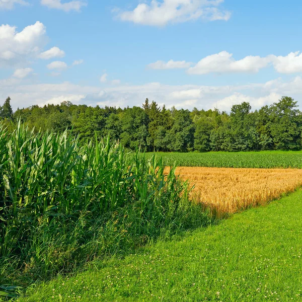 Felder in Bayern — Stockfoto