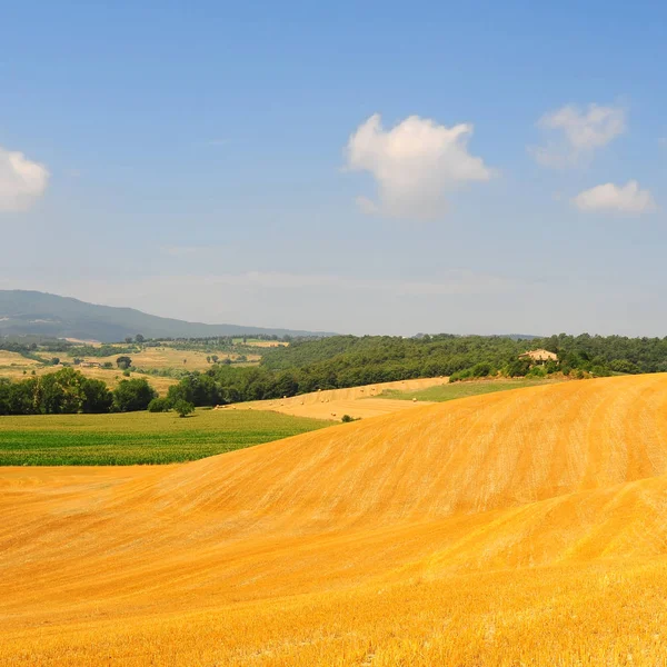 Paesaggio della Toscana con balle di fieno — Foto Stock