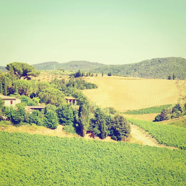 Colline De La Toscane — Photo