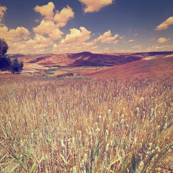 Hills of Sicily at Sunset — Stock Photo, Image