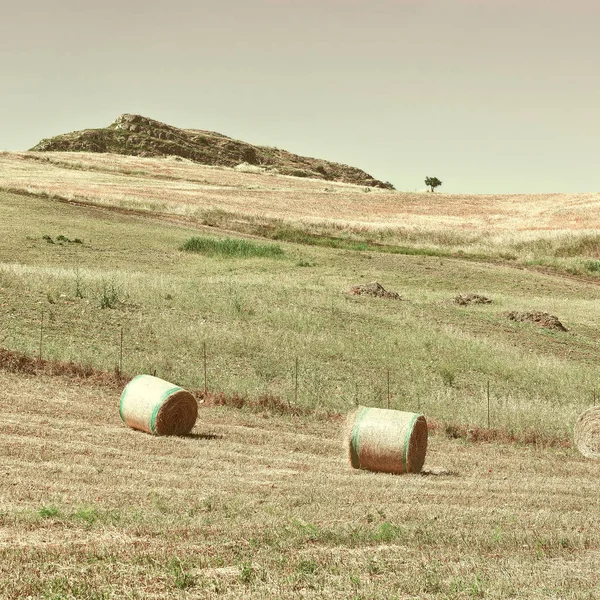 多くの干し草の俵とシチリアの風景 — ストック写真