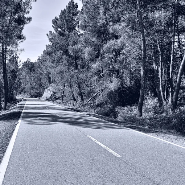 Droga w Portugalii — Zdjęcie stockowe