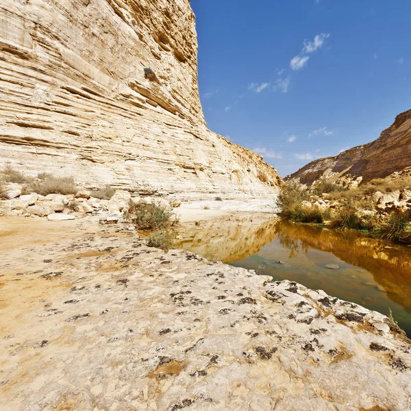 Canyon in Israël — Stockfoto