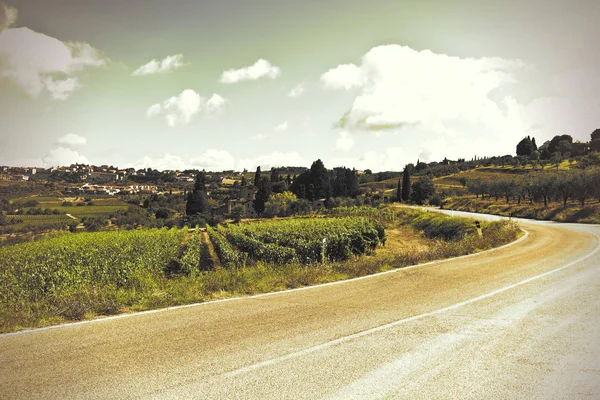 Strada vicino a Vigneti — Foto Stock