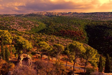 İsrail Arap yerleşim