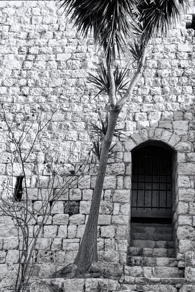 Überreste einer Kreuzritterburg in Israel — Stockfoto