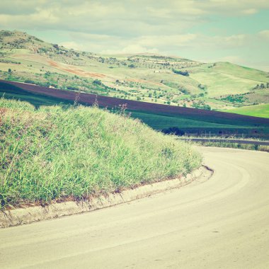 weg tussen velden