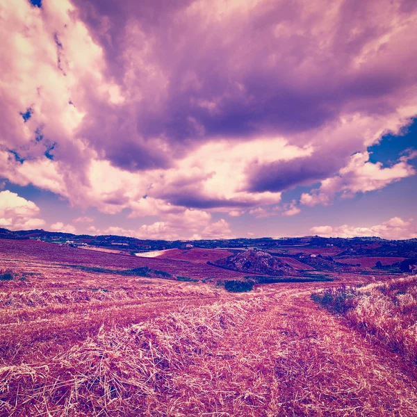 Pšeničná pole na kopcích Sicílie — Stock fotografie