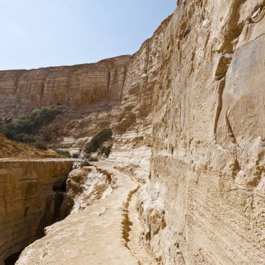 Kanyon tr Avedat 