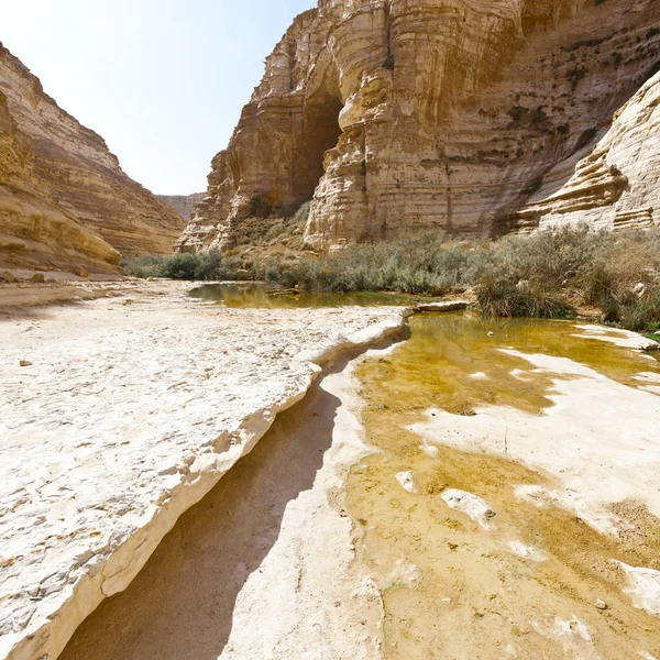 Canyon em israel — Fotografia de Stock