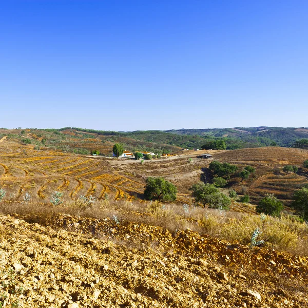 Heuvels van portugal — Stockfoto