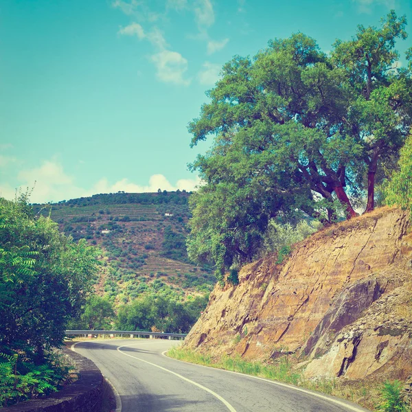 Strada tra le colline — Foto Stock