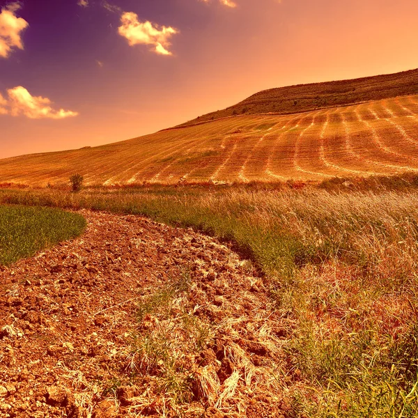 Hill in Sicily — Stock Photo, Image