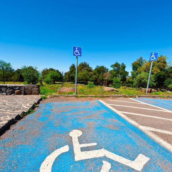 Engelliler için park — Stok fotoğraf