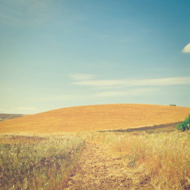 Hasat sonra Sicilya'nın tepeleri