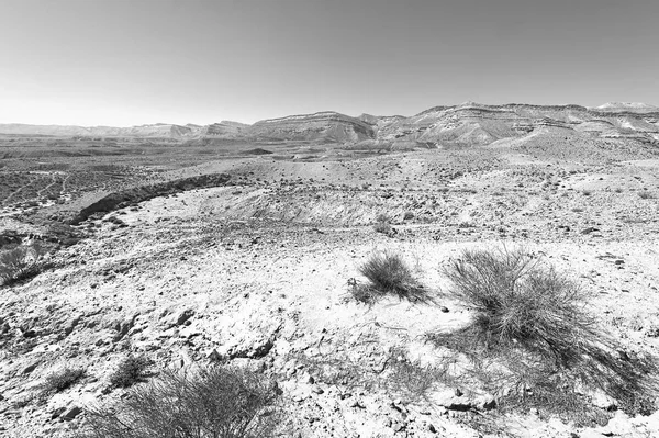 Colinas rocosas del desierto del Néguev en Israel. — Foto de Stock