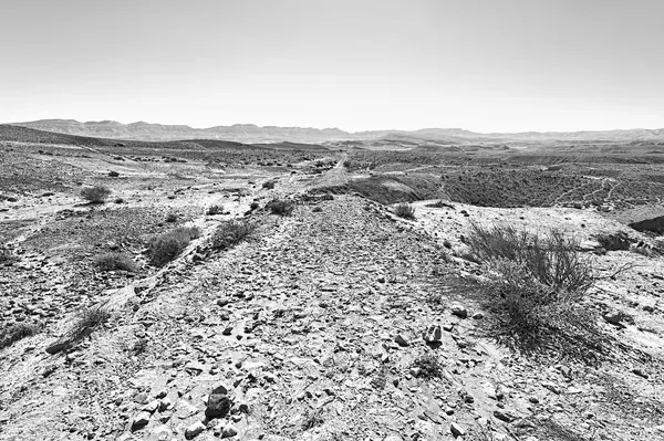伊斯拉尔岛内盖夫沙漠的岩石山. — 图库照片