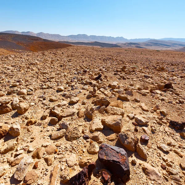 Colline rocciose del deserto del Negev — Foto Stock