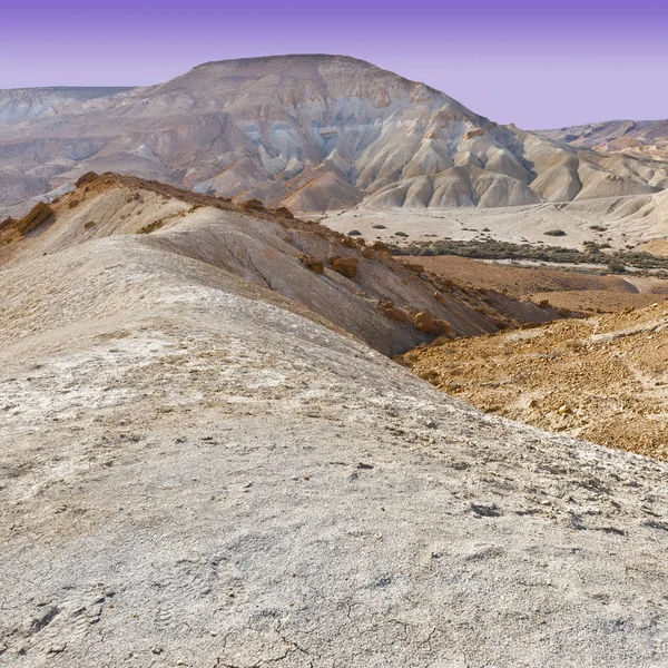 Desierto del Negev en Israel — Foto de Stock