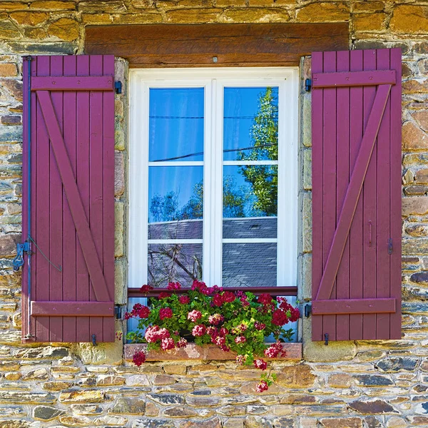 Fenster mit Blumen — Stockfoto