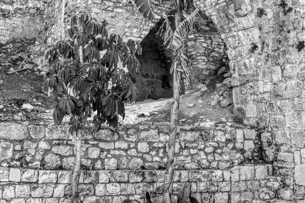 Remnants of Crusader castle in Israel — Stock Photo, Image