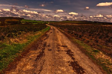 Belçika ile büyüyen Ladin için kreş alanları