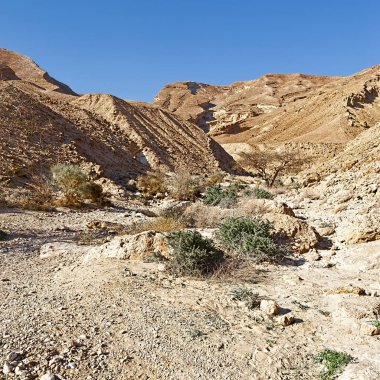 İsrail 'de Negev Çölü. 