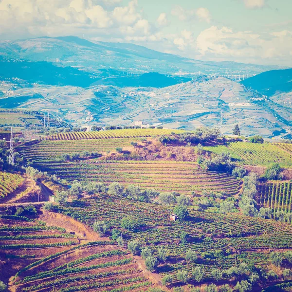 Hills of Portugal — Stock Photo, Image