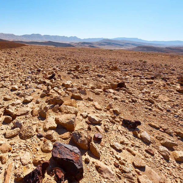 Desierto del Negev en Israel —  Fotos de Stock