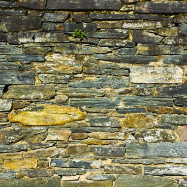 duvar arka plan olarak