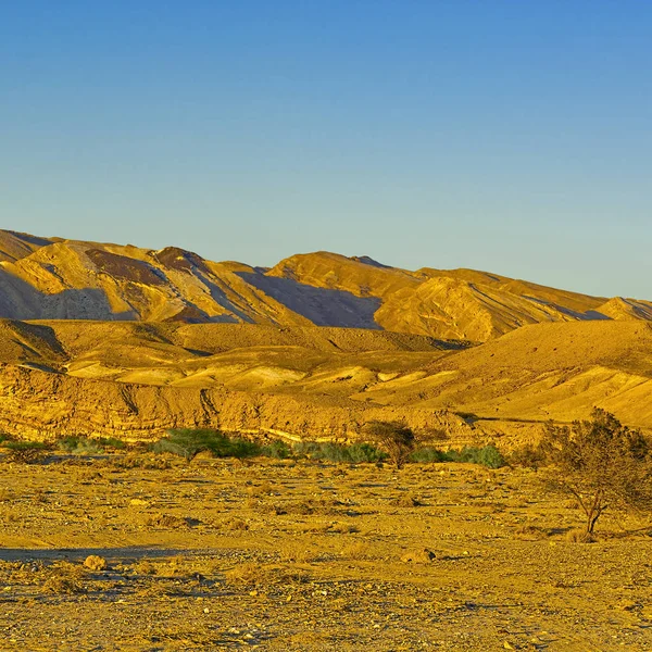 Desert in Israël — Stockfoto