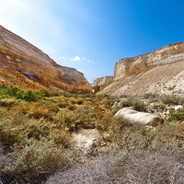 Negev woestijn in Israël — Stockfoto