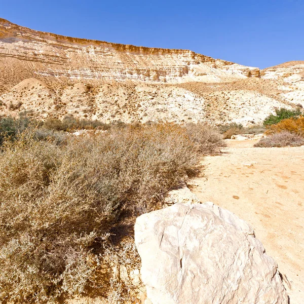 Desierto del Negev en Israel — Foto de Stock