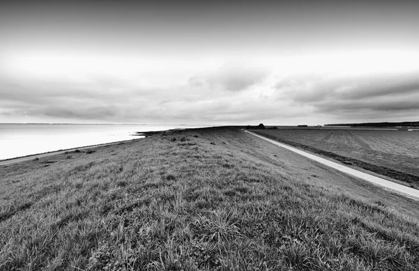 Duny u Severního moře v Holandsku — Stock fotografie