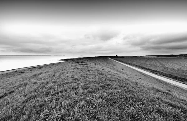 Dune nel Mare del Nord in Olanda — Foto Stock