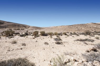 İsrail Taş Çölü