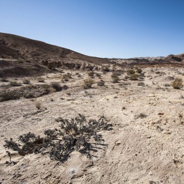 İsrail Taş Çölü