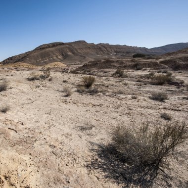 İsrail Taş Çölü