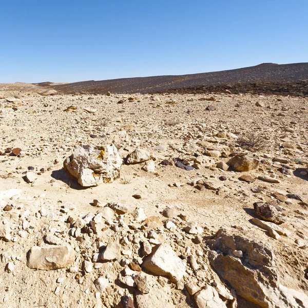 El desierto de piedra en Israel —  Fotos de Stock