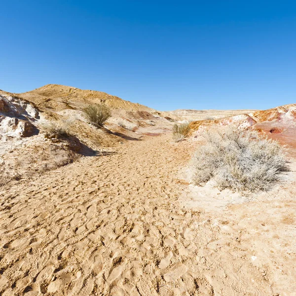 Sten öken i israel — Stockfoto