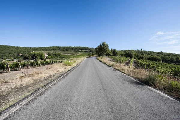 Silnice mezi Vinohrady — Stock fotografie