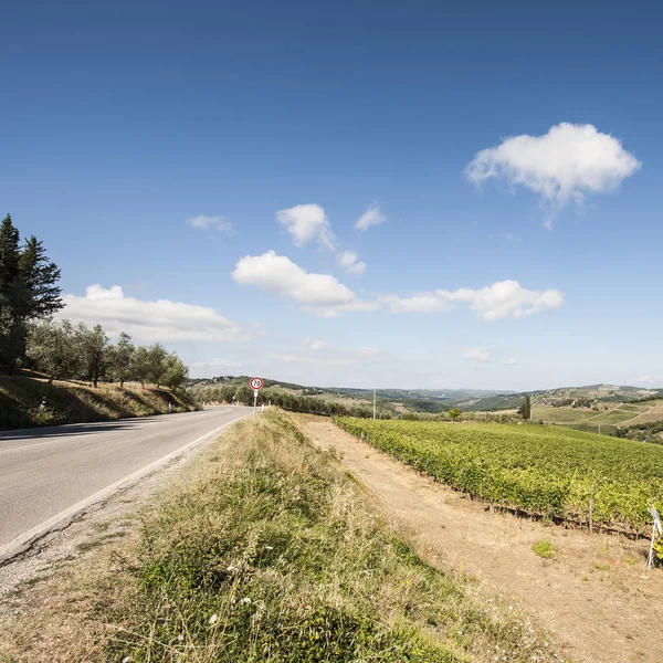 Route entre les vignobles — Photo