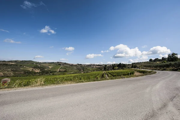 Weg tussen wijngaarden — Stockfoto