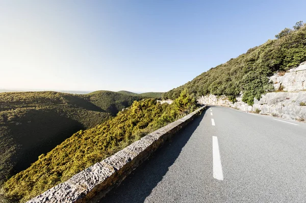 Route asphaltée entre les forêts — Photo