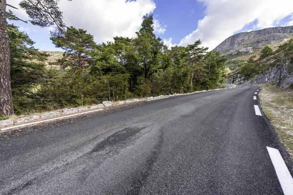 Asfalterad väg mellan skogar — Stockfoto