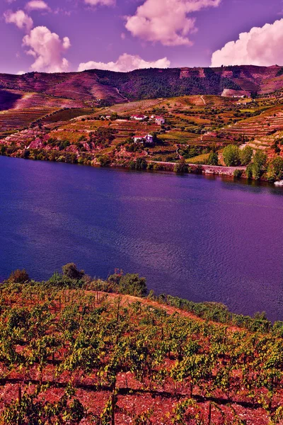 Řeka Douro při západu slunce — Stock fotografie